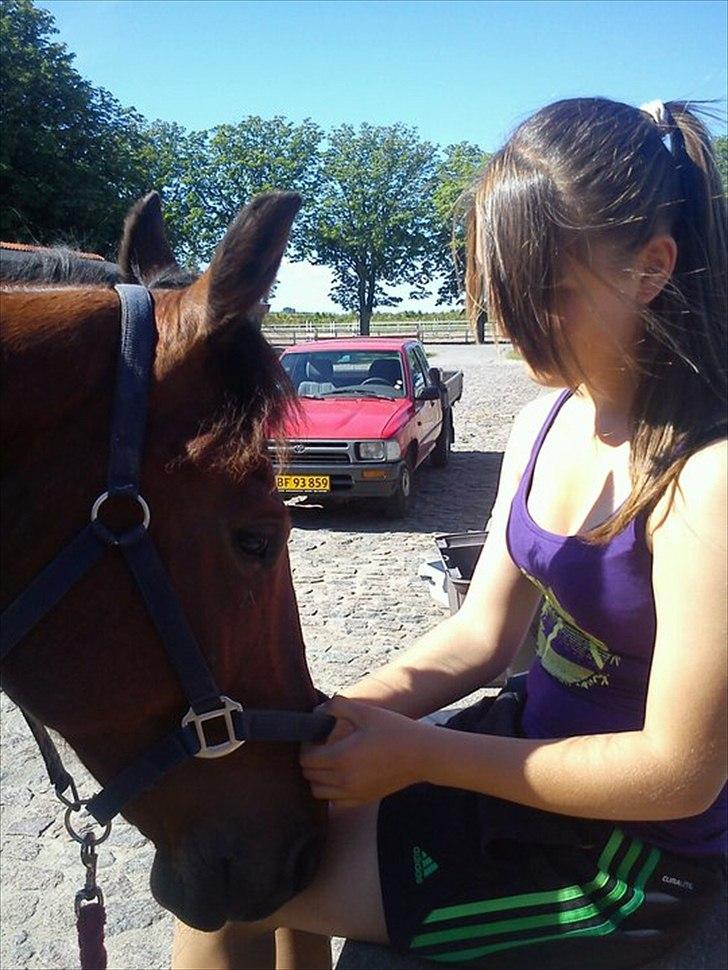 Anden særlig race Ludwig billede 5