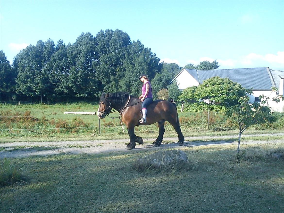 Anden særlig race rollo hansen - så kom vi hjem fra første tur :D billede 14