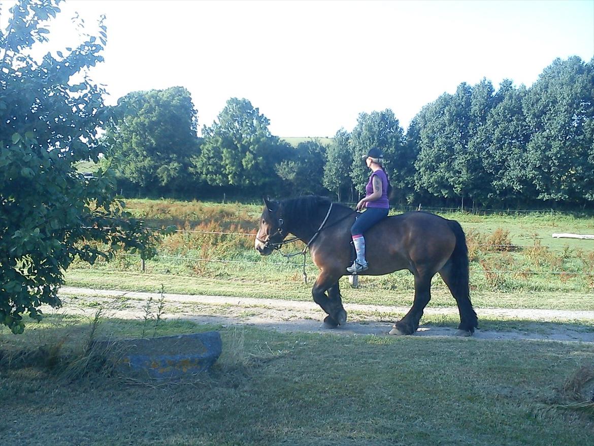 Anden særlig race rollo hansen billede 15