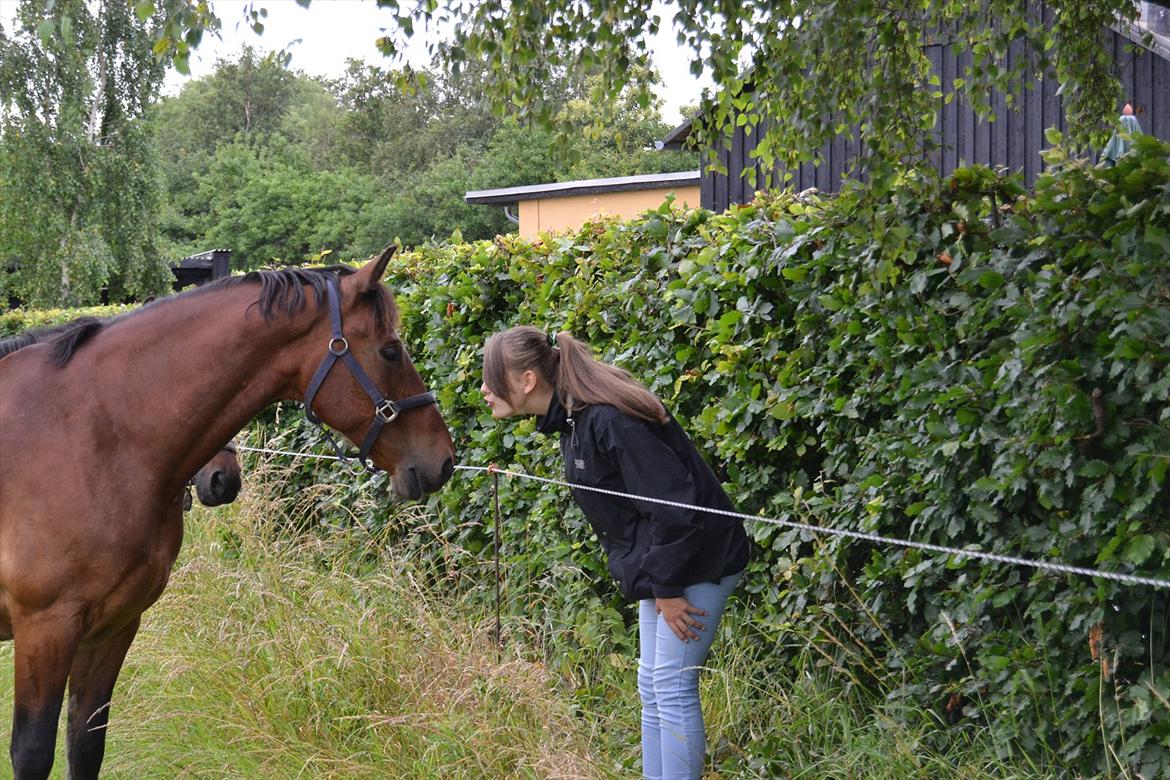 Anden særlig race Ludwig billede 13