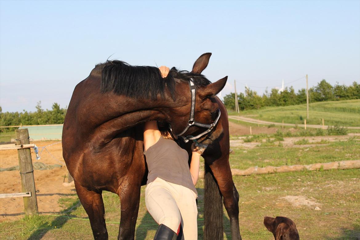 Oldenborg Selta Højbo - „The chance to love and be loved exists no matter where you are.“

Sommer, 2011 billede 16