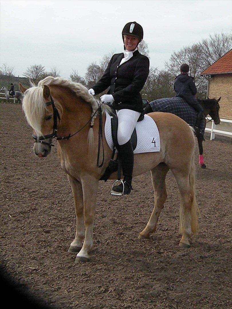 Haflinger Nyegaards Nascha EHA 573. - Stævne på Louiselund April 2011. 
Det var en rigtig fin dag! Ingen placeringer, men en sød hest og et ok program :o) billede 16