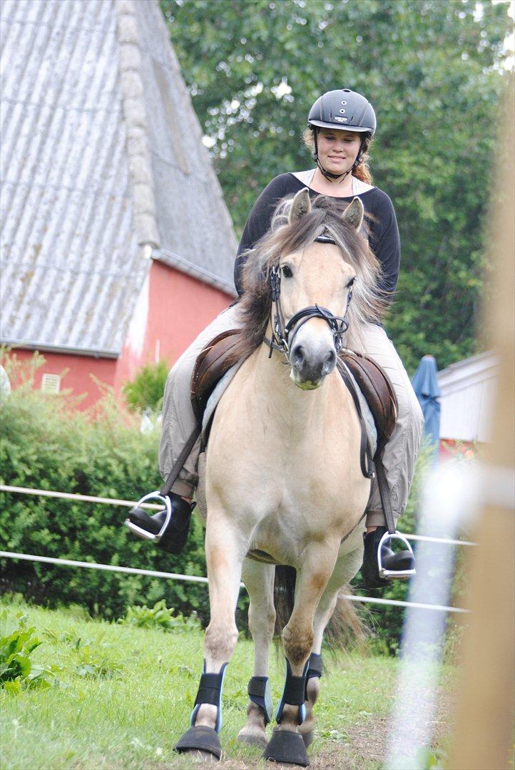 Fjordhest Estrid ~ Min drømmepony<3 - Hihi :D

Tager af Jeanett K m. mit kamera :D billede 15