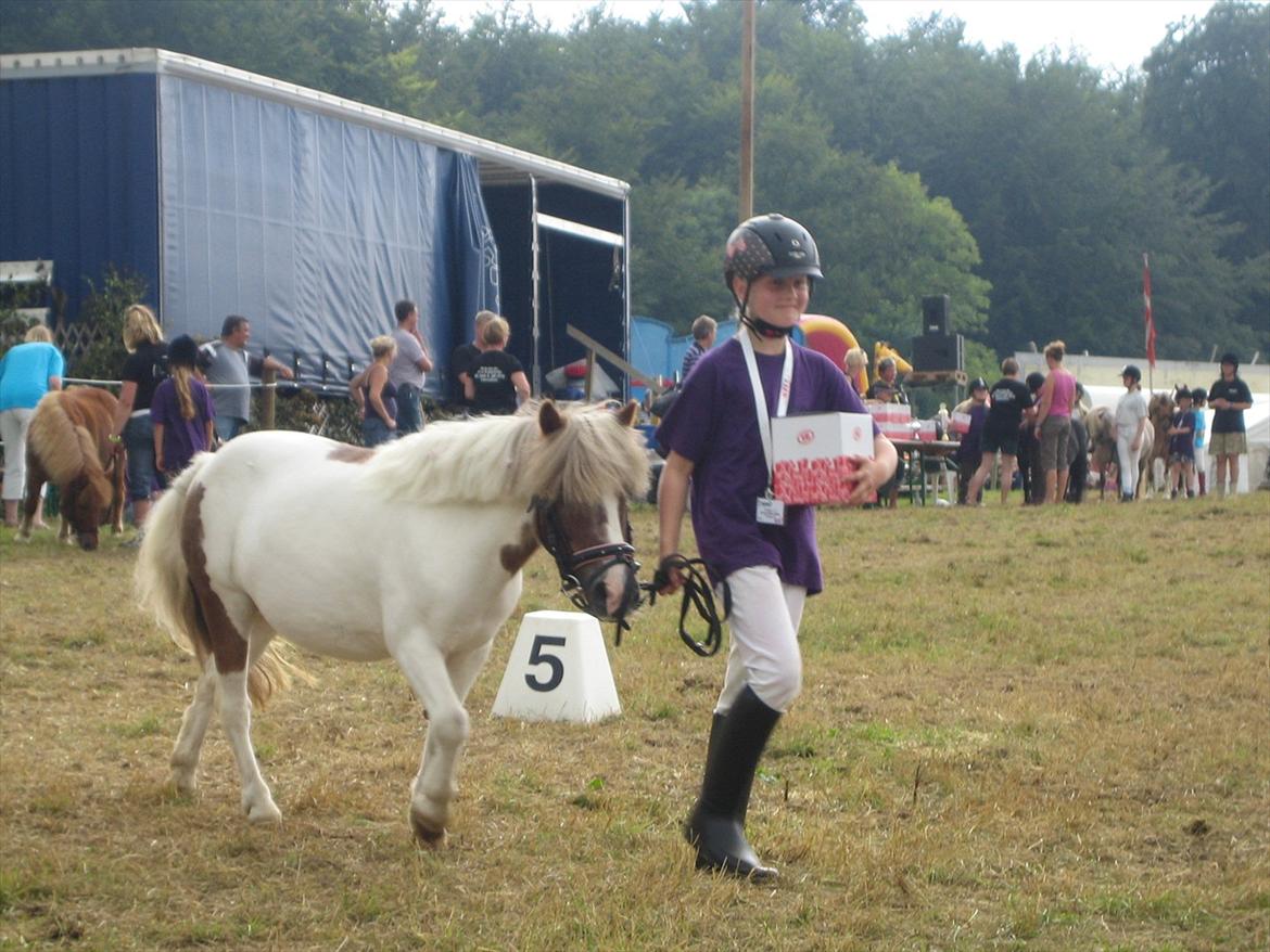 Shetlænder prinsesse - mig og sesse med vores 1,plads på brendtved billede 4