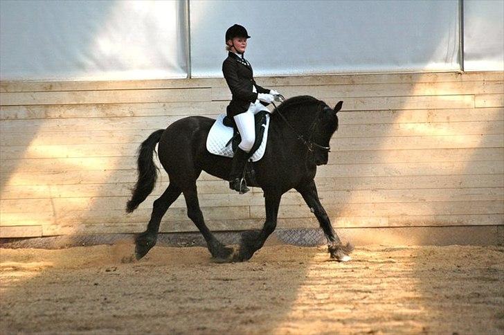 Frieser Golda - ÅSRK sommerstævne 2011 billede 11