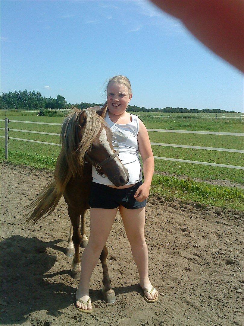 Anden særlig race Beauty Surprice  solgt billede 14