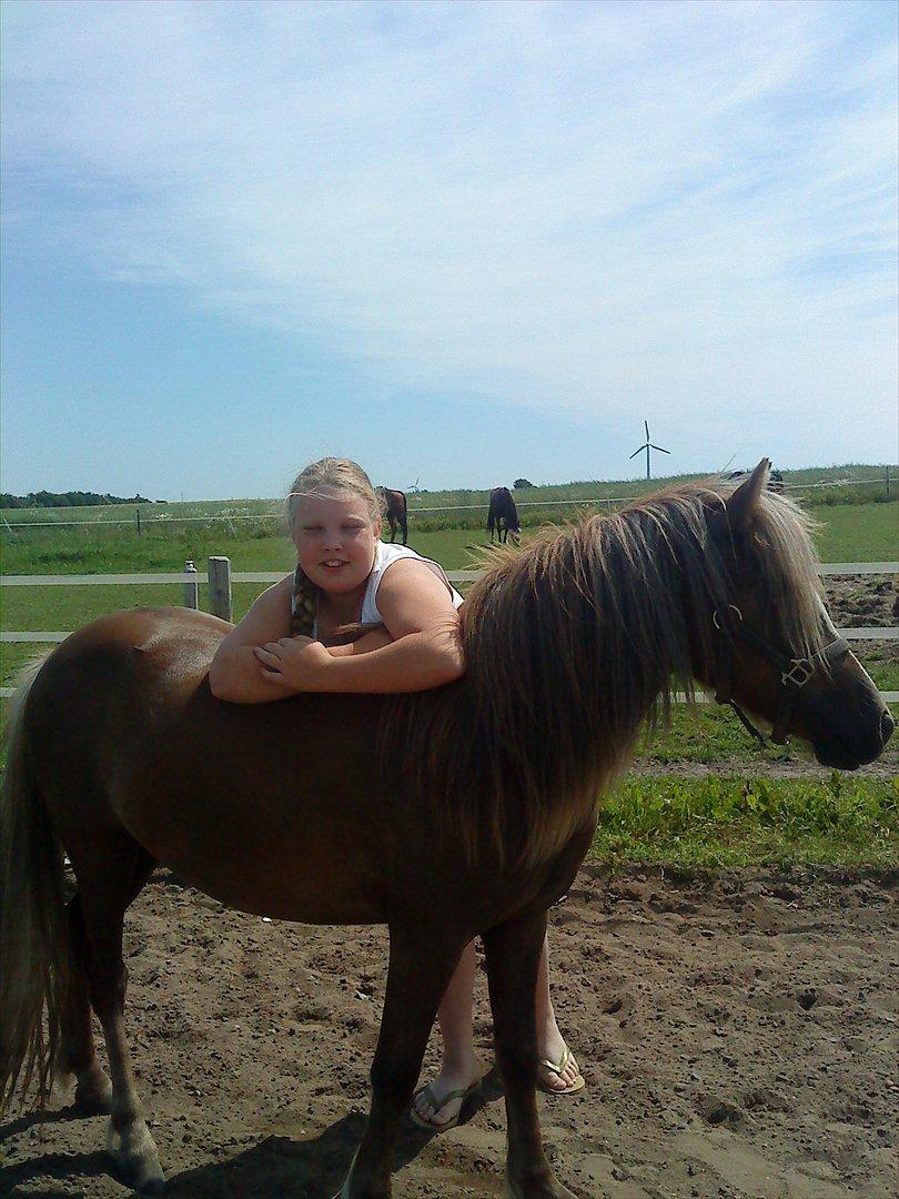 Anden særlig race Beauty Surprice  solgt billede 15