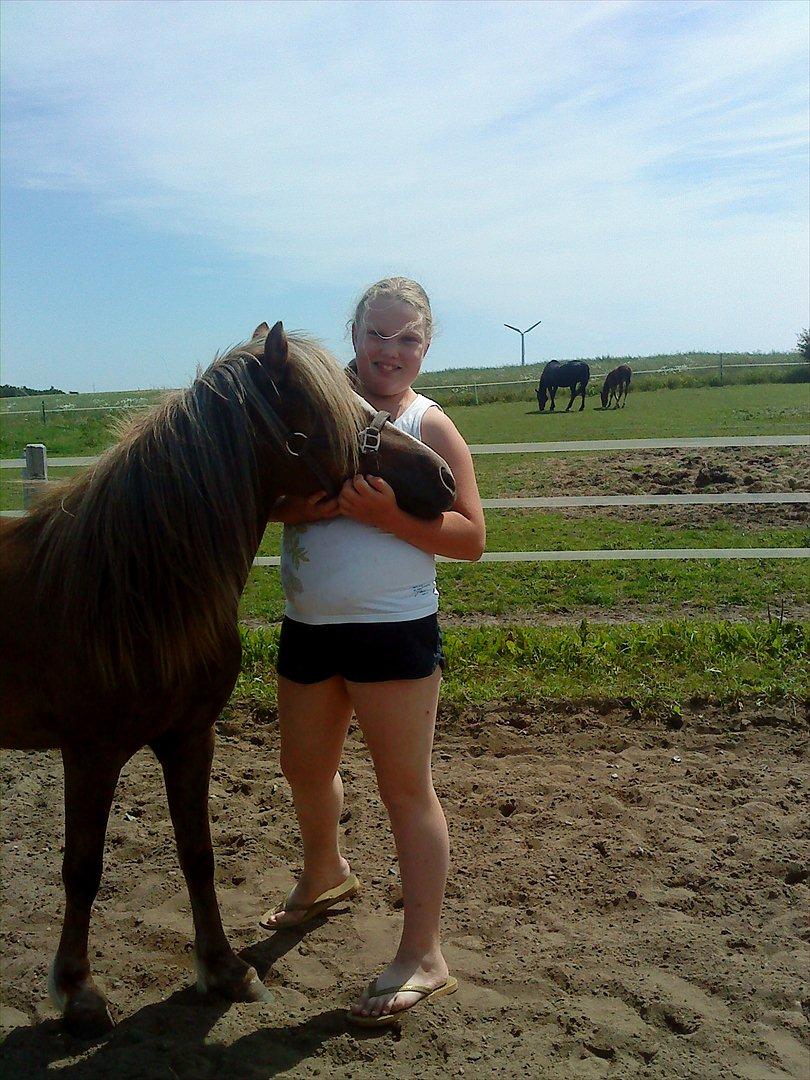 Anden særlig race Beauty Surprice  solgt billede 16