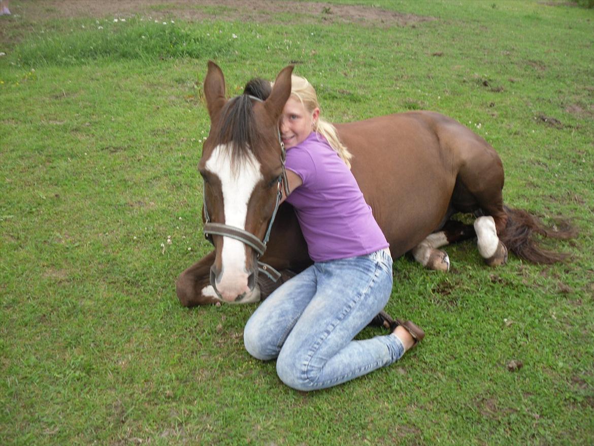 DSP Møgelholts Carat <3 - Det er på min fødselsdag <3 
Foto:Lille søster billede 11