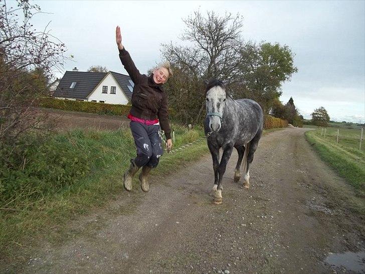 New Forest Elmholts Gaschon billede 1