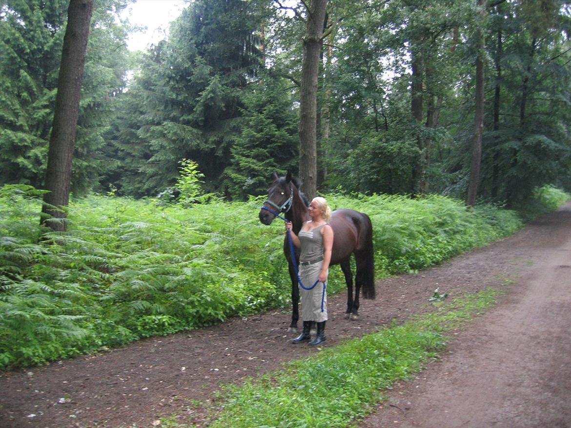 Dansk Varmblod Sheiken - Sidste gå tur i skoven inden vi rejste hjem fra Tyskland :) billede 3