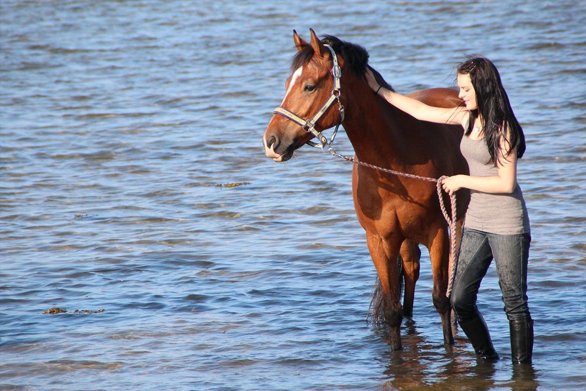 Anden særlig race  Pardo - A Part Of Me! :* -  "Gå ikke foran mig, måske kan jeg ikke følge med. Gå ikke bag mig, måske kan jeg ikke føre an. Gå ved siden af mig og vær min ven! " Foto: CFJ  billede 8