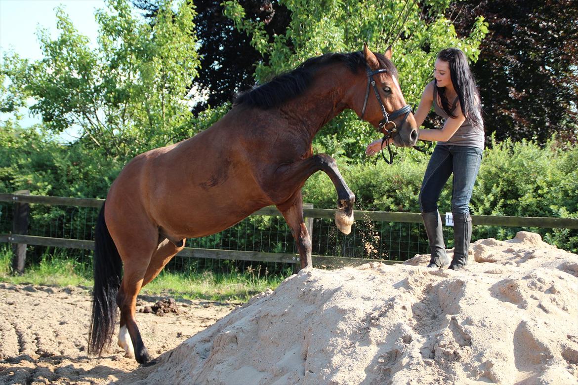 Anden særlig race  Pardo - A Part Of Me! :* - "Kun med hjertet kan man se rigtigt. Det væsentlige er usynligt for øjet." Foto: CFJ  billede 9