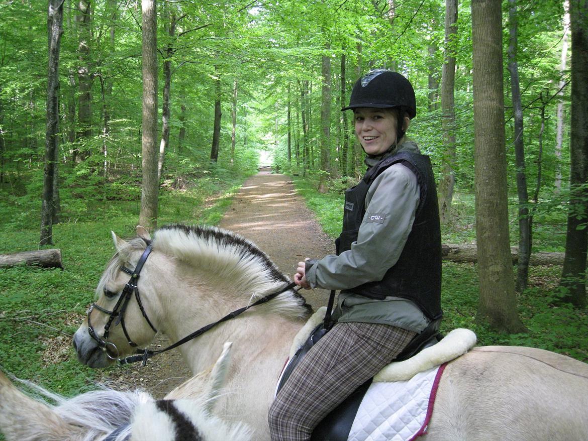 Fjordhest Felix - Det må være Danmarks bedste skov :D
 billede 12