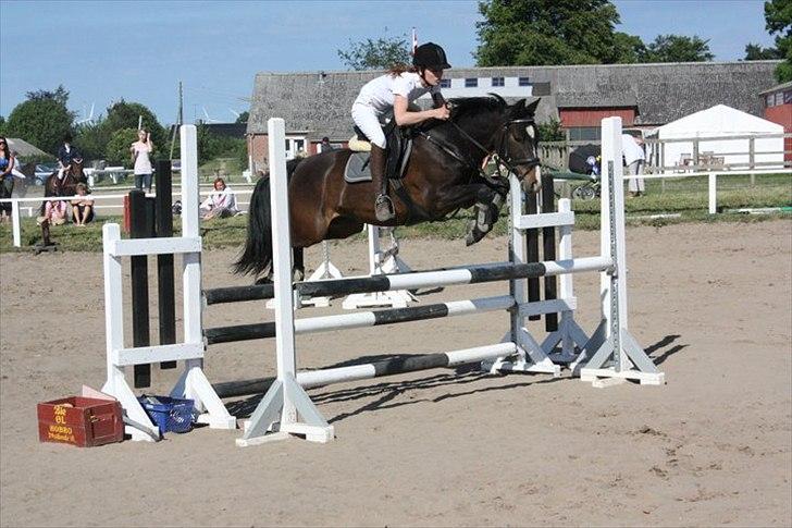 DSP Sebastian - Farmland cup billede 4