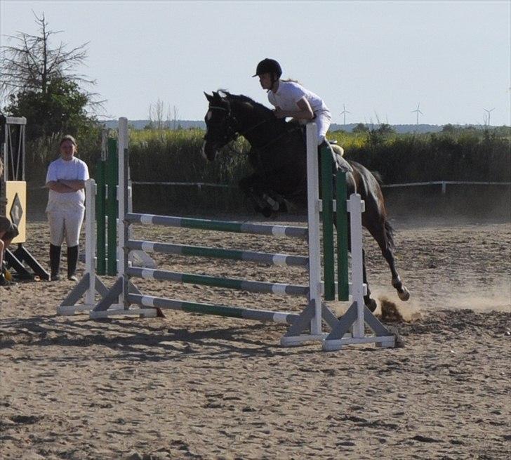 DSP Sebastian billede 19