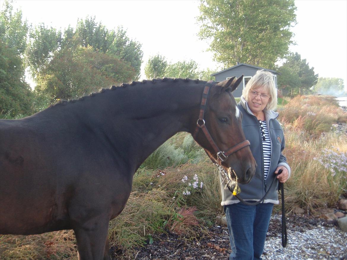 Westfaler Navoy (Nalle) - Nalle ser vandet for første gang, hvilket var relativt farligt i følge ham selv :) billede 18