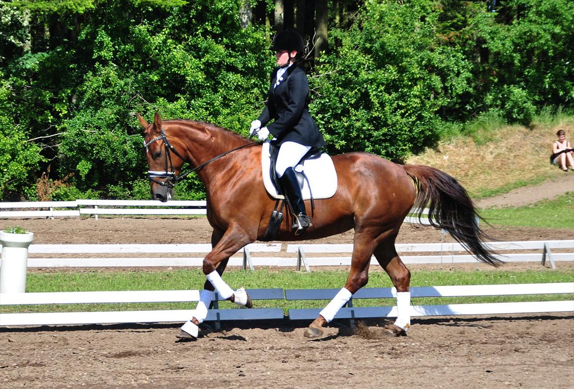 Oldenborg LINETTE HÆRUP - 13: Morsø - Galop. Fotograf: Kathrine H. billede 13