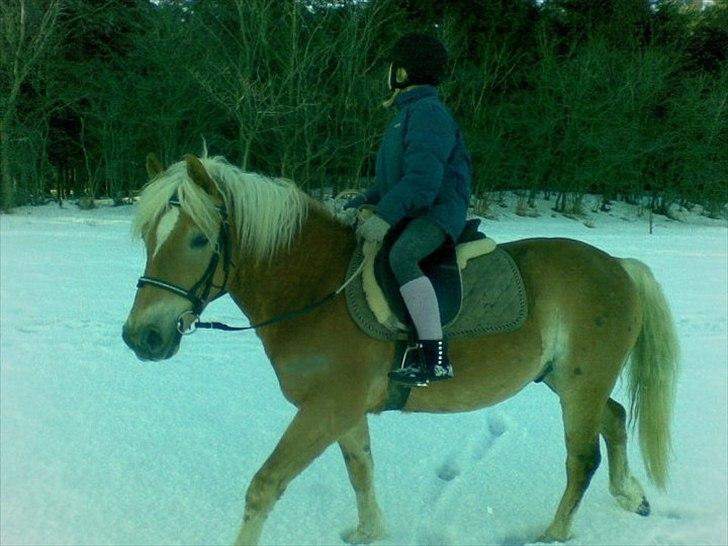 Anden særlig race Nemo Bit - nulle og nemo<3<3
 billede 7