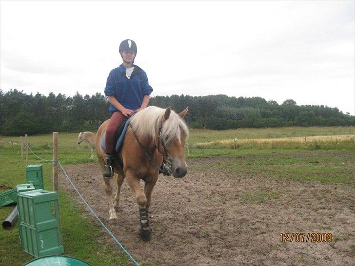 Anden særlig race Nemo Bit - varmes op:)
 billede 18