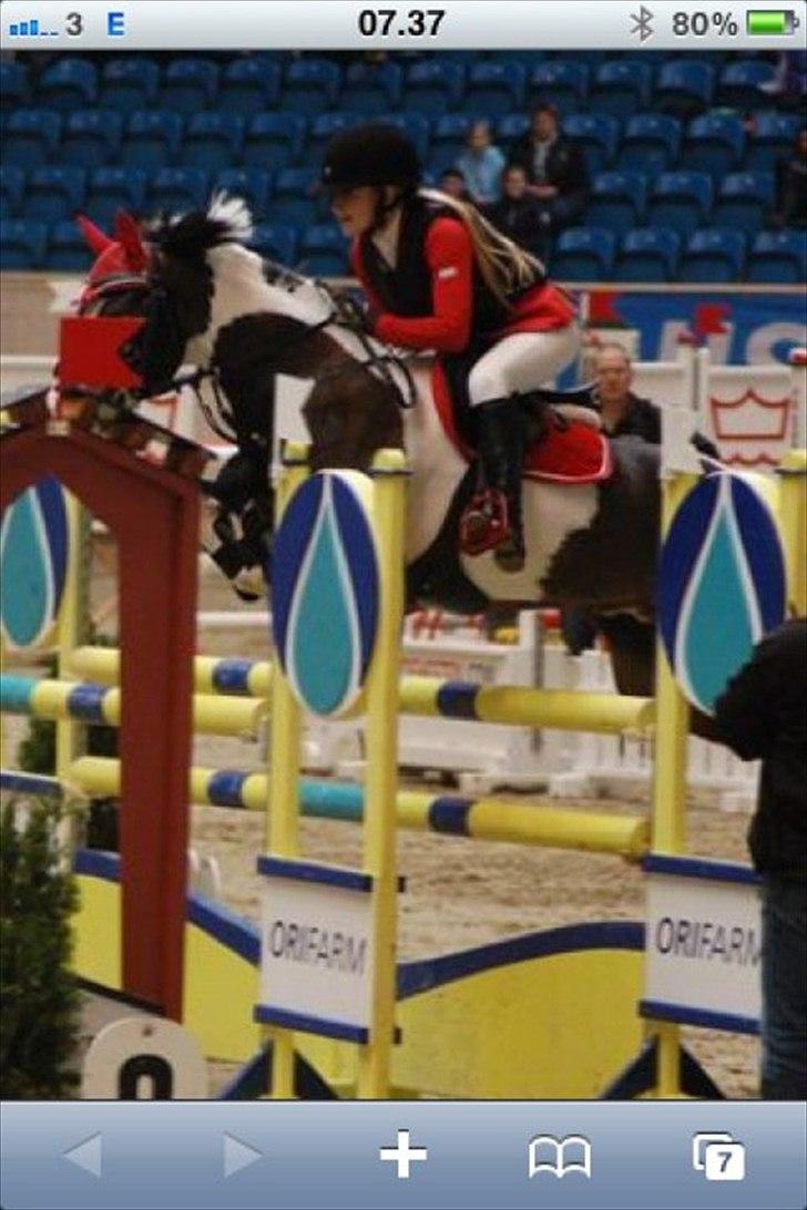 Anden særlig race Tatoo - Baltic cup her i Grand Prixen 2011 <3 billede 8