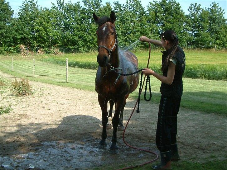 Knabstrupper : Coco's Dynamite | ~ Min Gamle Dame ~ - Juli 2011 billede 12