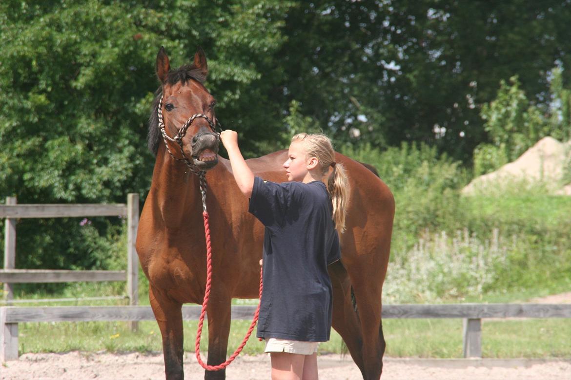 Traver La bell billede 14