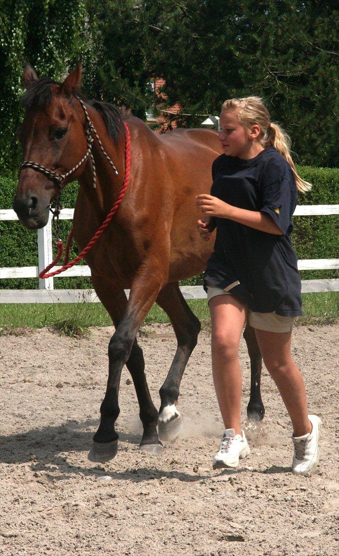 Traver La bell - labell fulder efter. <3 <3 <3 :-)* billede 8