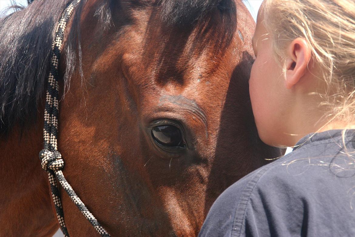 Traver La bell - smukke øjne <3 <3 <3. billede 11