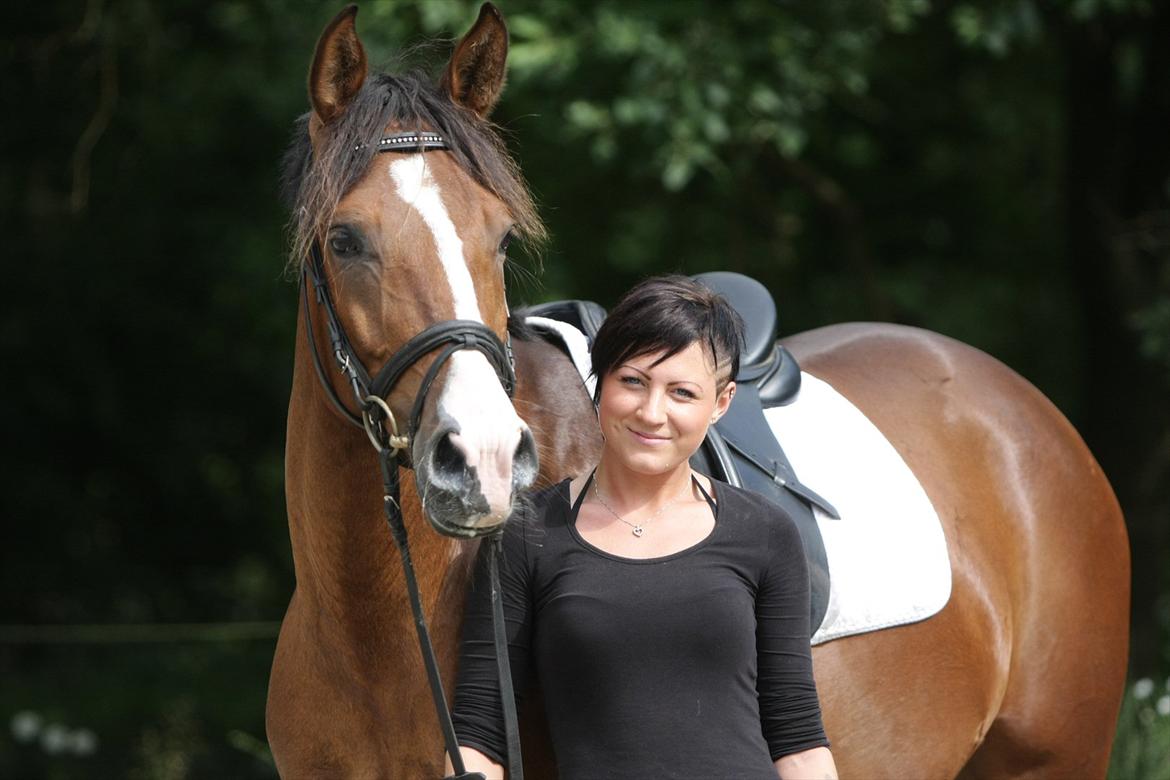 Anden særlig race Shahs Poseidon Dihanto 'tidl. hest' - Fotograf Flemming Scully billede 1