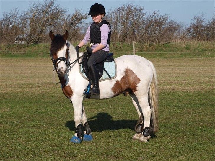 Anden særlig race Mr. Blue<3 - Velkommen til Blue's profil<3 billede 1