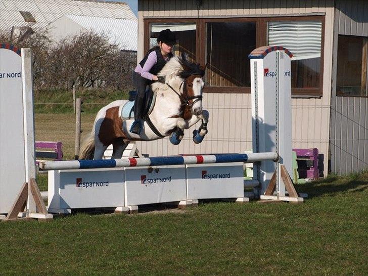 Anden særlig race Mr. Blue<3 - Johanne og Blue :) billede 3