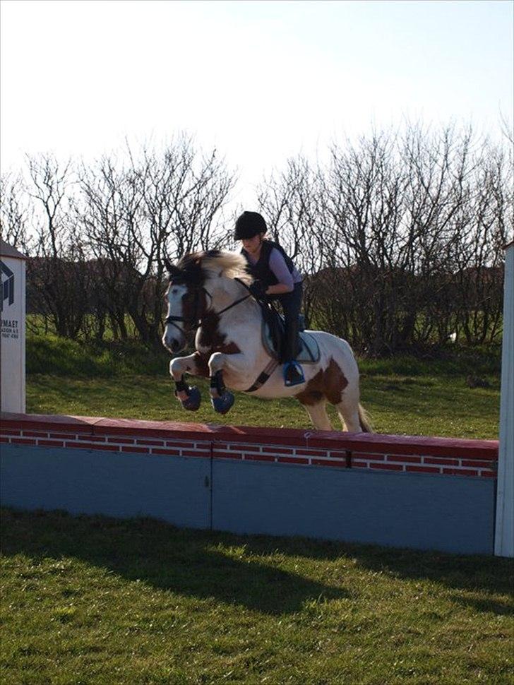 Anden særlig race Mr. Blue<3 - Johanne og Blue :) billede 4