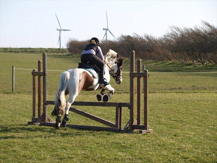 Anden særlig race Mr. Blue<3 - Johanne og Blue :) billede 5