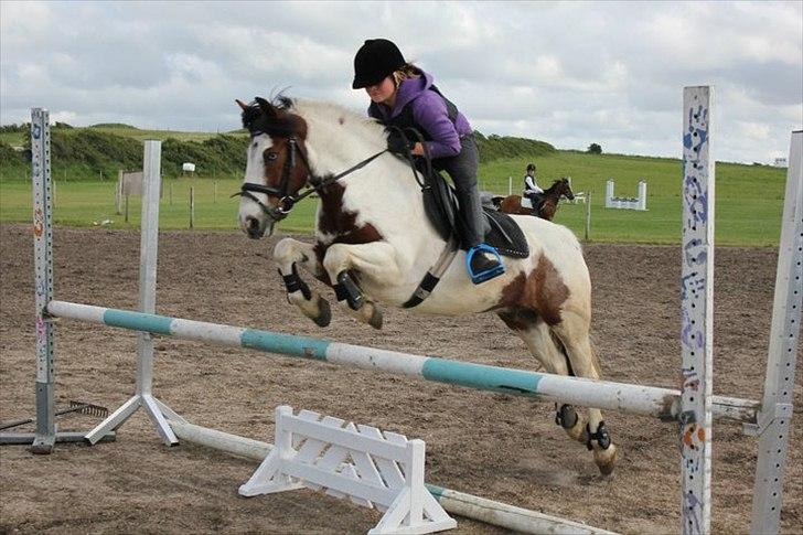 Anden særlig race Mr. Blue<3 - Spring undervisning ;) billede 7