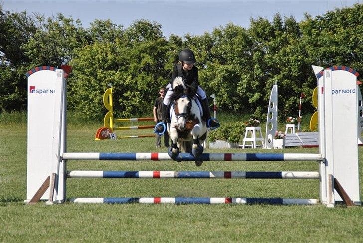 Anden særlig race Mr. Blue<3 - Johanne og Blue :) billede 9