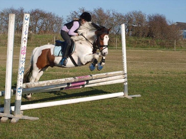 Anden særlig race Mr. Blue<3 - Johanne og Blue :) billede 10