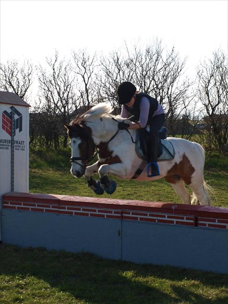 Anden særlig race Mr. Blue<3 - Johanne og Blue :) billede 11