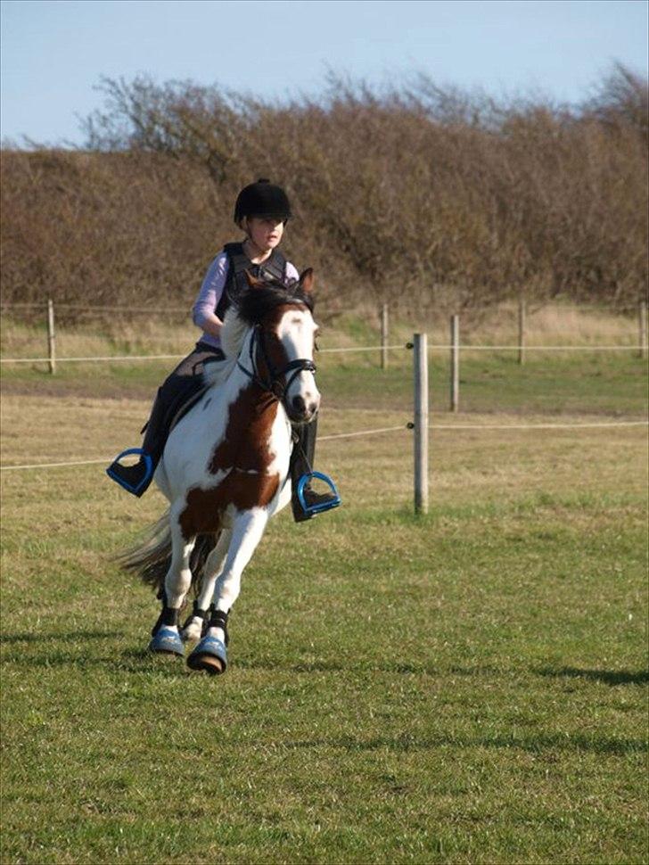 Anden særlig race Mr. Blue<3 - Johanne og Blue :) billede 12