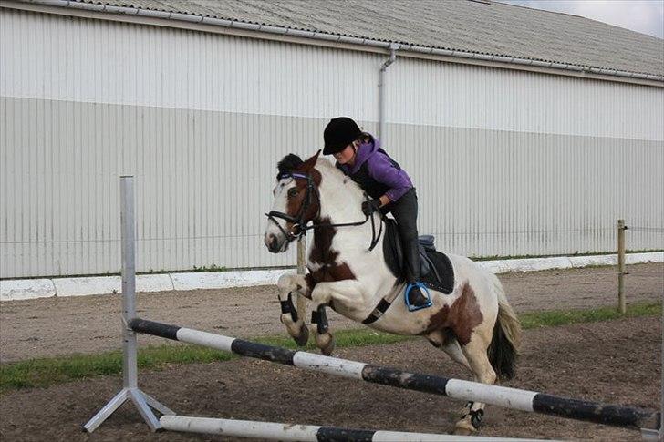 Anden særlig race Mr. Blue<3 - Johanne og Blue :) billede 13