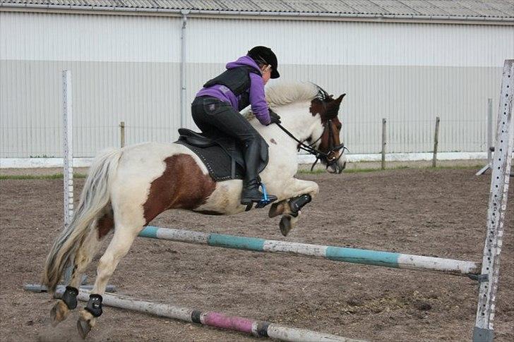 Anden særlig race Mr. Blue<3 - Johanne og Blue :) billede 14