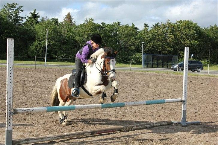 Anden særlig race Mr. Blue<3 - Johanne og Blue :) billede 15