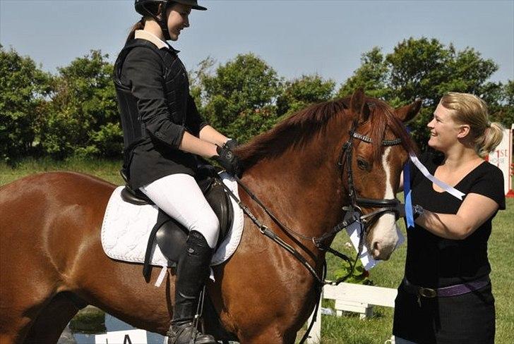 DSP Amman<3 B-PONY!  billede 1