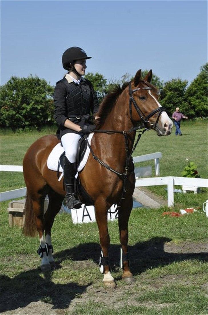 DSP Amman<3 B-PONY!  billede 2