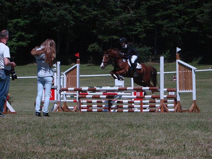 DSP Amman<3 B-PONY!  billede 4