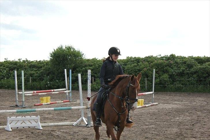 DSP Amman<3 B-PONY!  billede 5