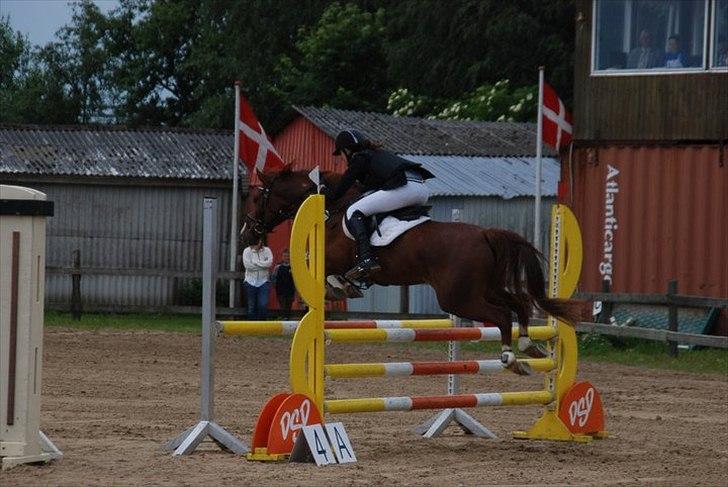 DSP Amman<3 B-PONY!  billede 6