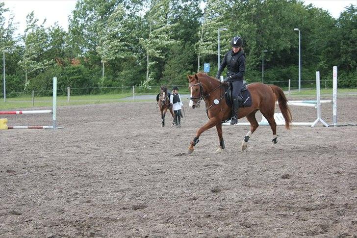 DSP Amman<3 B-PONY!  billede 7