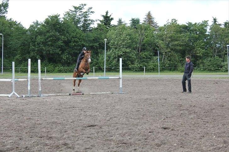 DSP Amman<3 B-PONY!  billede 8