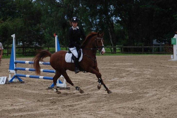 DSP Amman<3 B-PONY!  billede 10